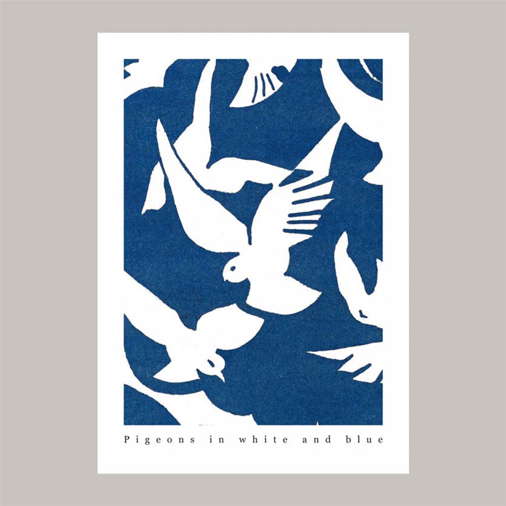 Pigeons in white and blue ポスター 白いハト