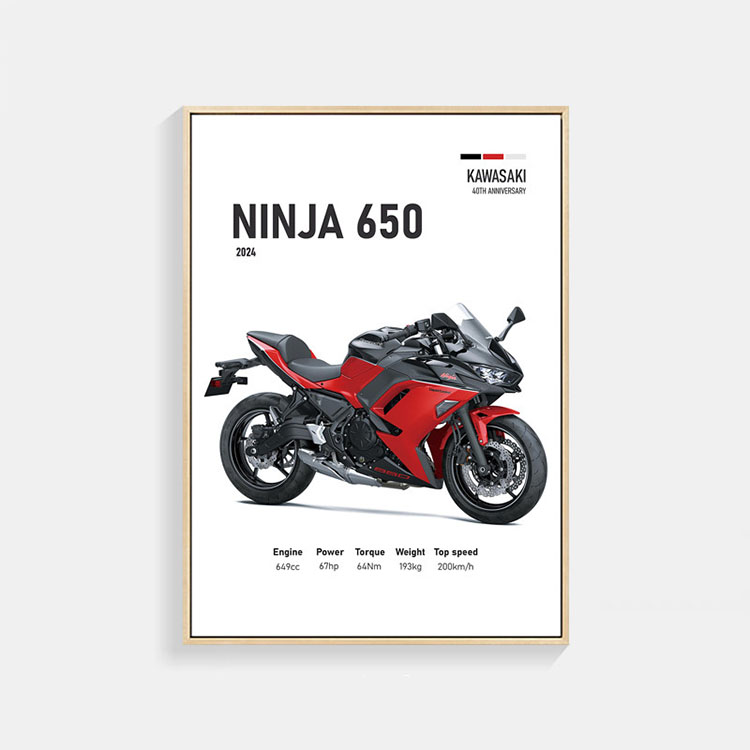 カワサキ Ninja 650 40th Anniversary 2024 バイク ポスター A3
