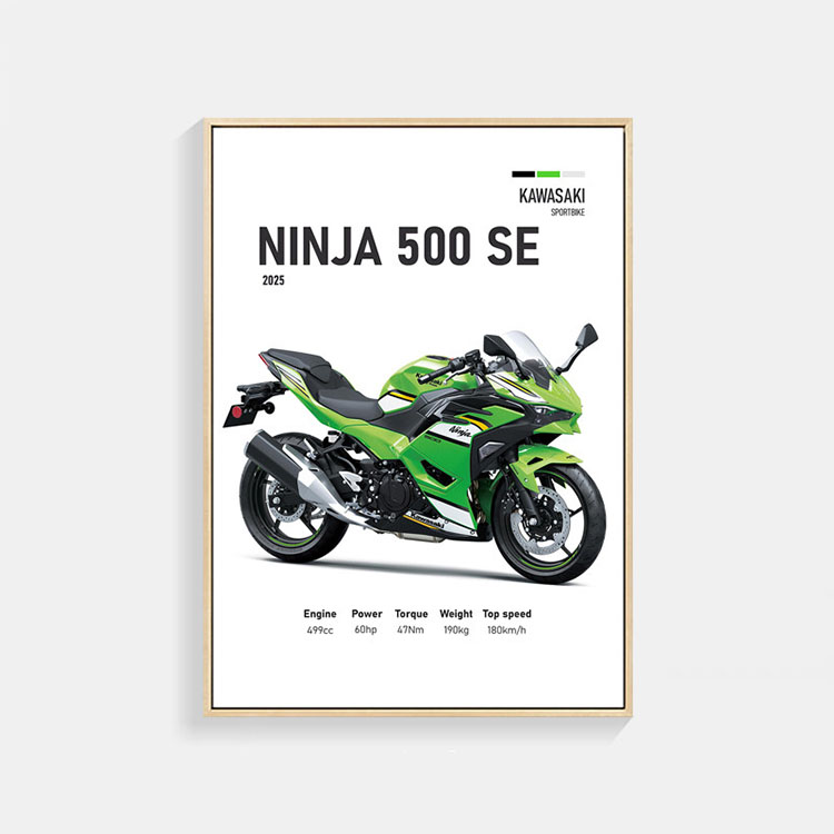 カワサキ Ninja 500 SE 2025 バイク ポスター A3