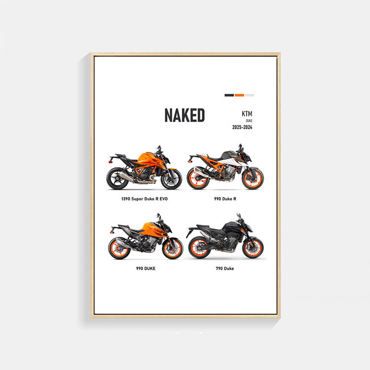 KTM 2025 Naked Duke バイク ポスター A3