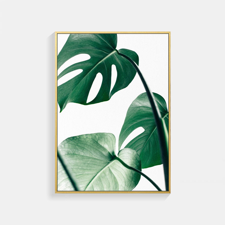 観葉 植物 ポスター A3