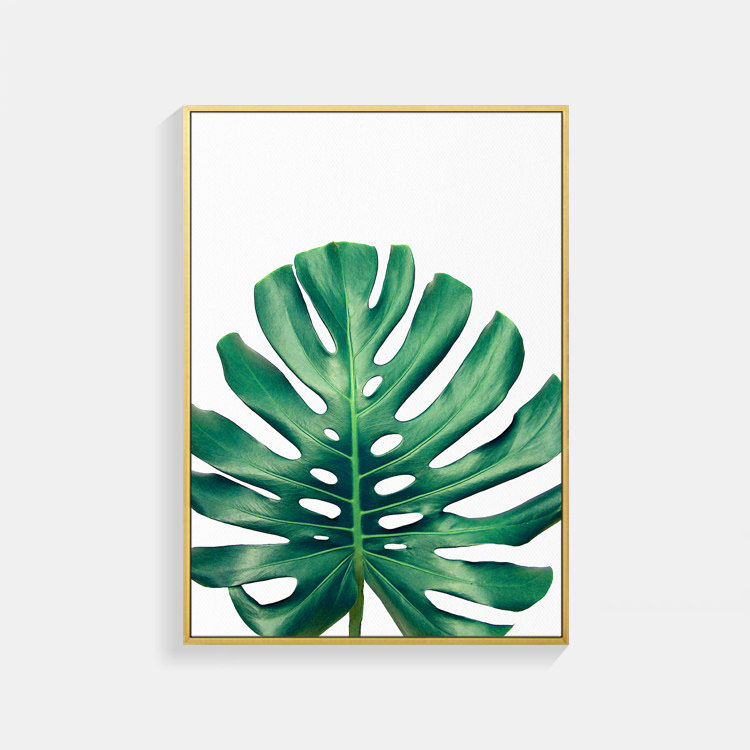 アート ポスター 観葉 植物 A3